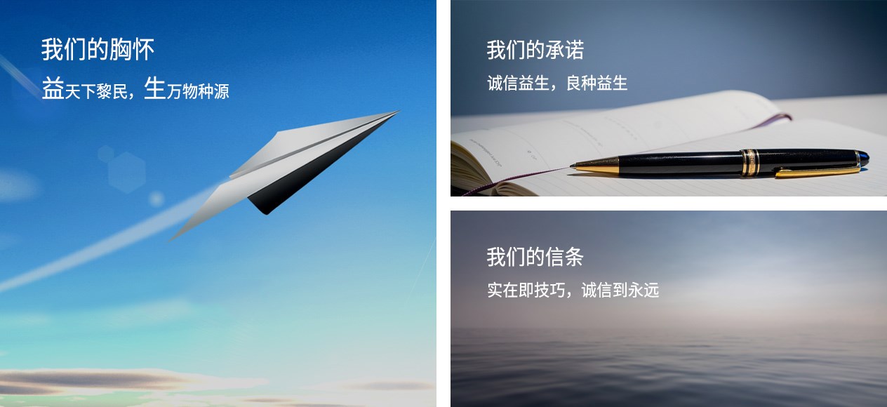 KS凯时·(中国区)官方网站