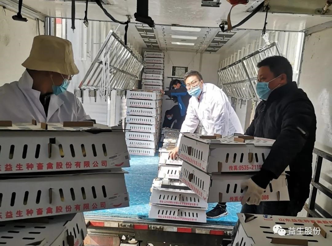 【关注】“疫”见真情，，，，，为ks凯时官网团队点赞