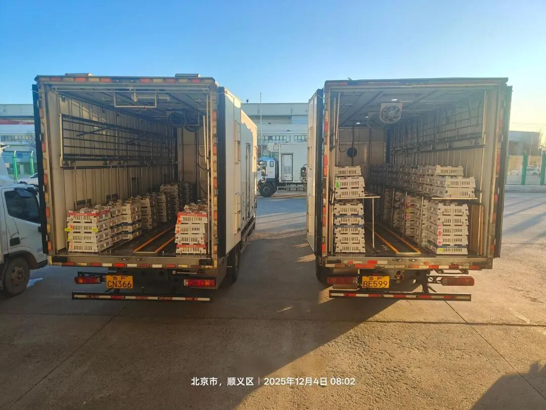 [引种】ks凯时官网股份再度引进法国种源，，，，，，，龙头职位坚韧保险产业不变